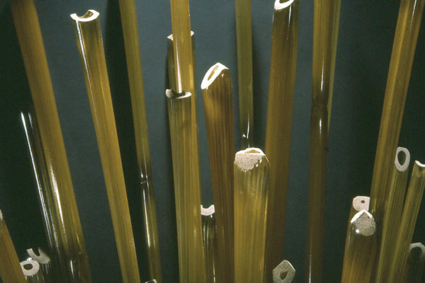 Reeds-Detail